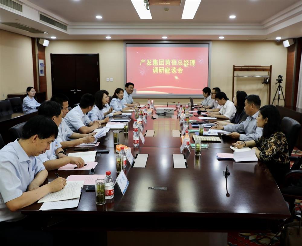 集團黨委副書記、總經(jīng)理黃蓓帶隊調(diào)研濟南市工程咨詢院